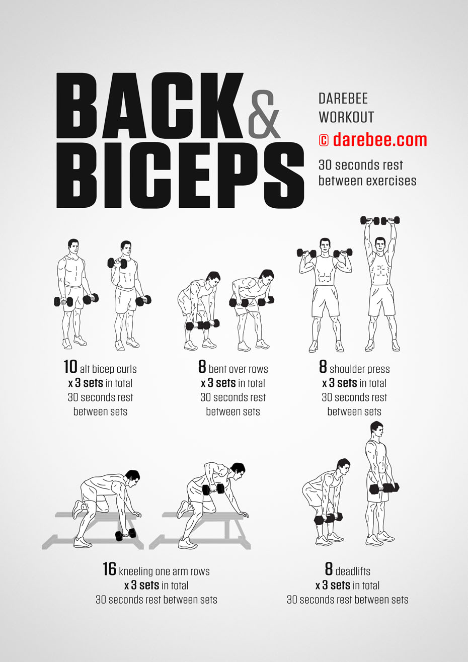 How to strengthen your muscles for pull-ups with weights How to strengthen your muscles for pull-ups with weights