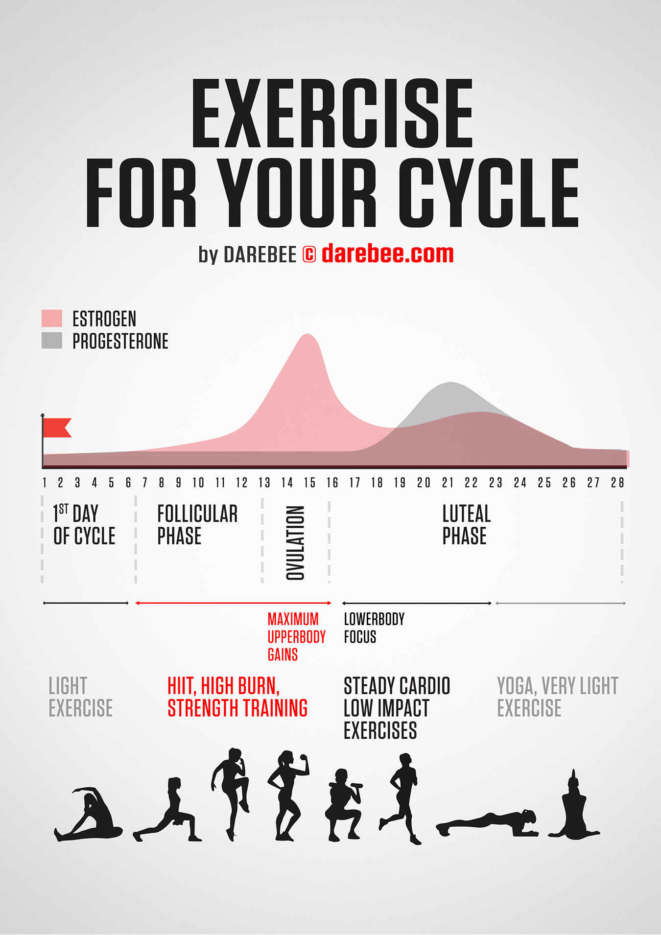 Physical Training And A Woman's Hormone Cycle Physical Training And A Woman's Hormone Cycle
