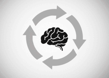 How to Train Your Brain Using Circuit Workouts